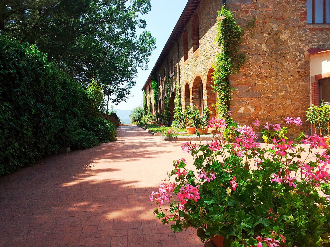 Vacanze in Agriturismo Arezzo - Poggitazzi