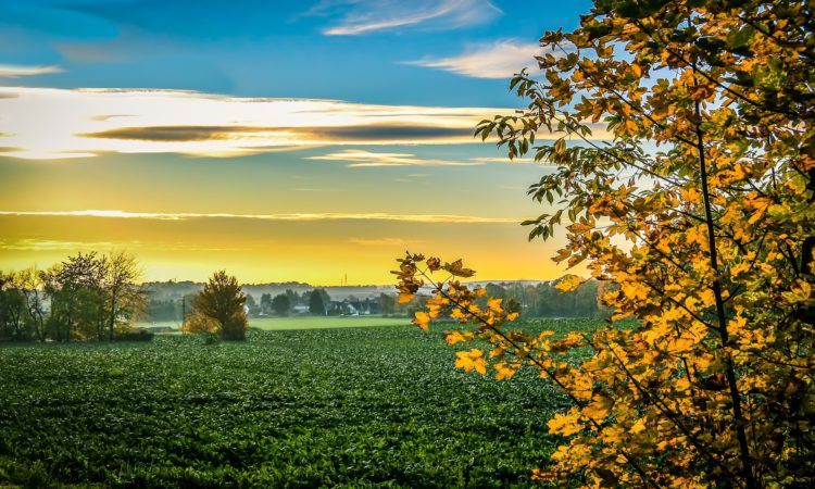 Vacanze a Settembre dove andare in Toscana - Poggitazzi