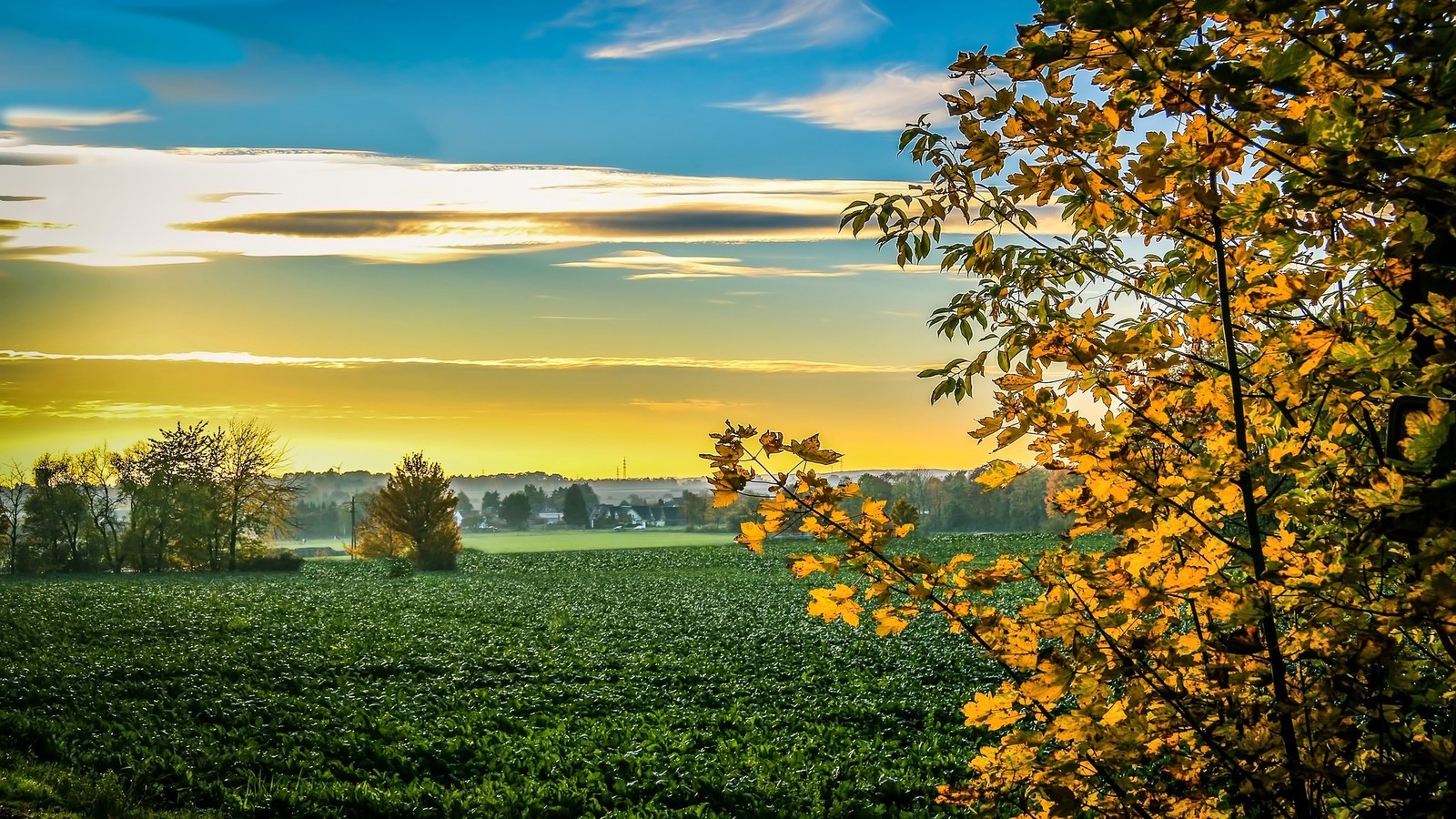 Vacanze a Settembre dove andare in Toscana - Poggitazzi